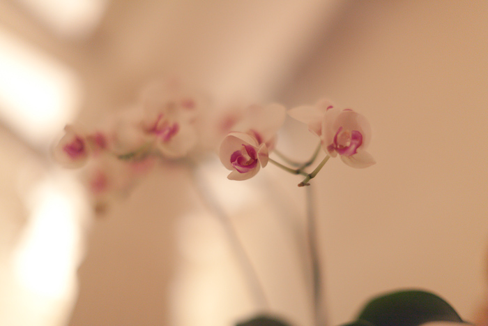 N-H_R-blog-011