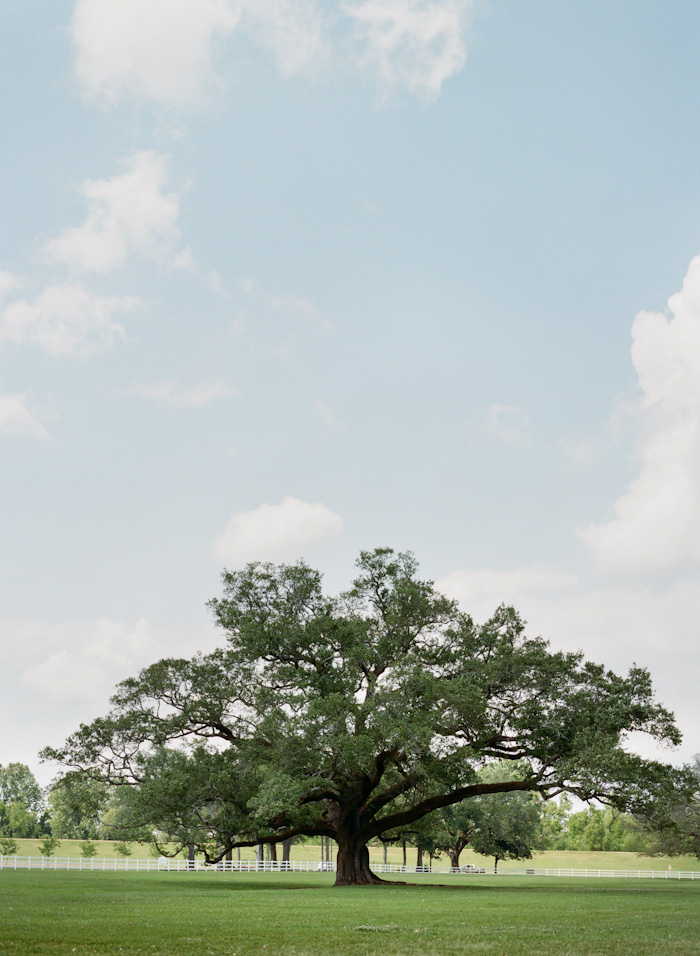 nola-blog-0291
