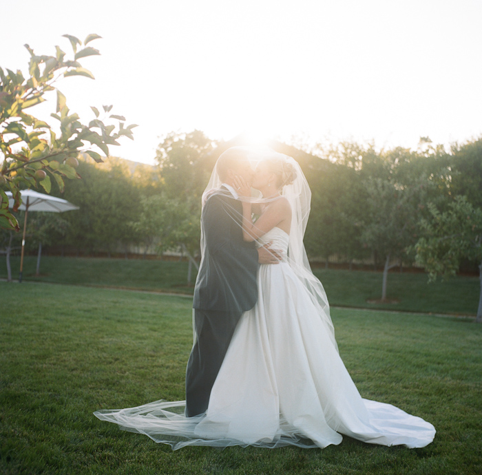 erinheartscourt-julie-scott-blog064