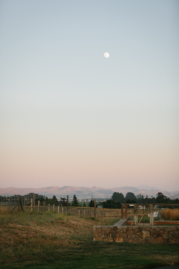 erinheartscourt-julie-scott-blog079