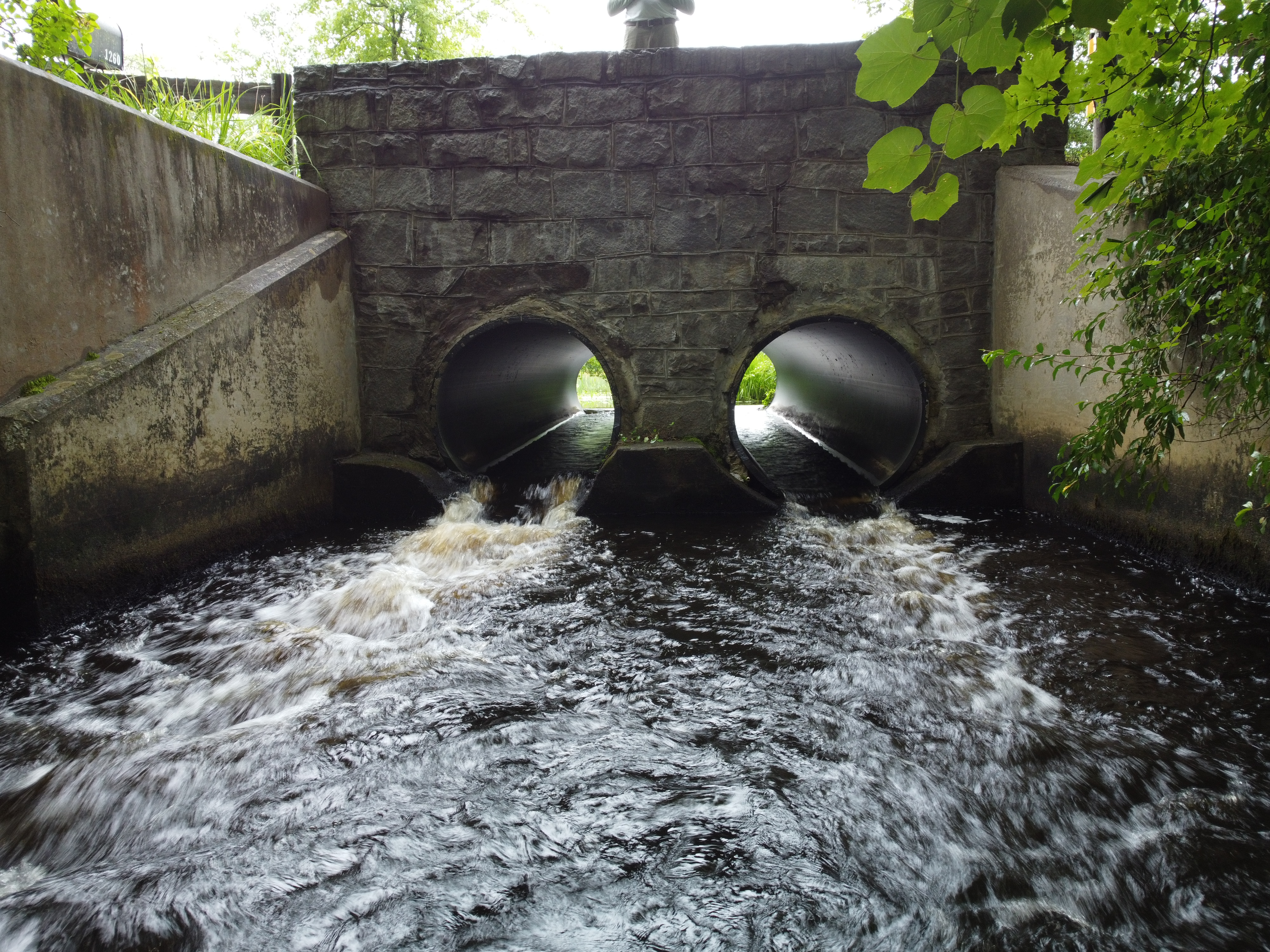 Prehistoric fish weir | Enhancing Fish Passage: Haley’s Brook Crossing ...