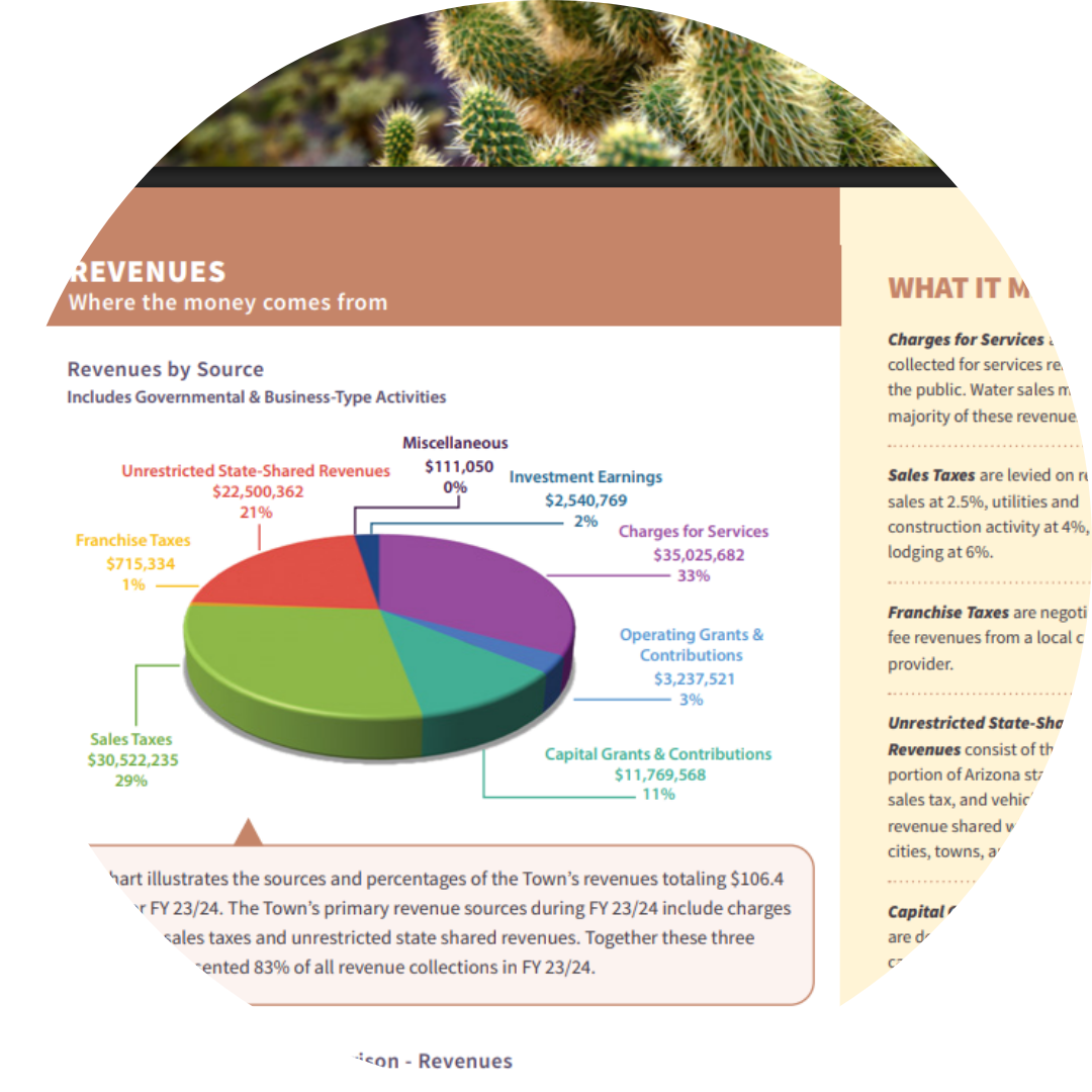 pie chart of finances