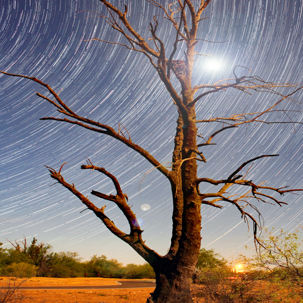 Starry night