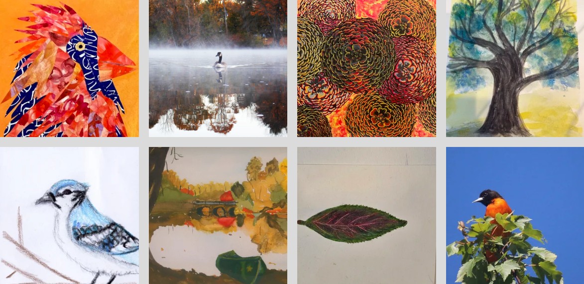 Various biodiversity-themed artwork submitted by local artists, including birds, flowers, landscapes, and abstract artwork.