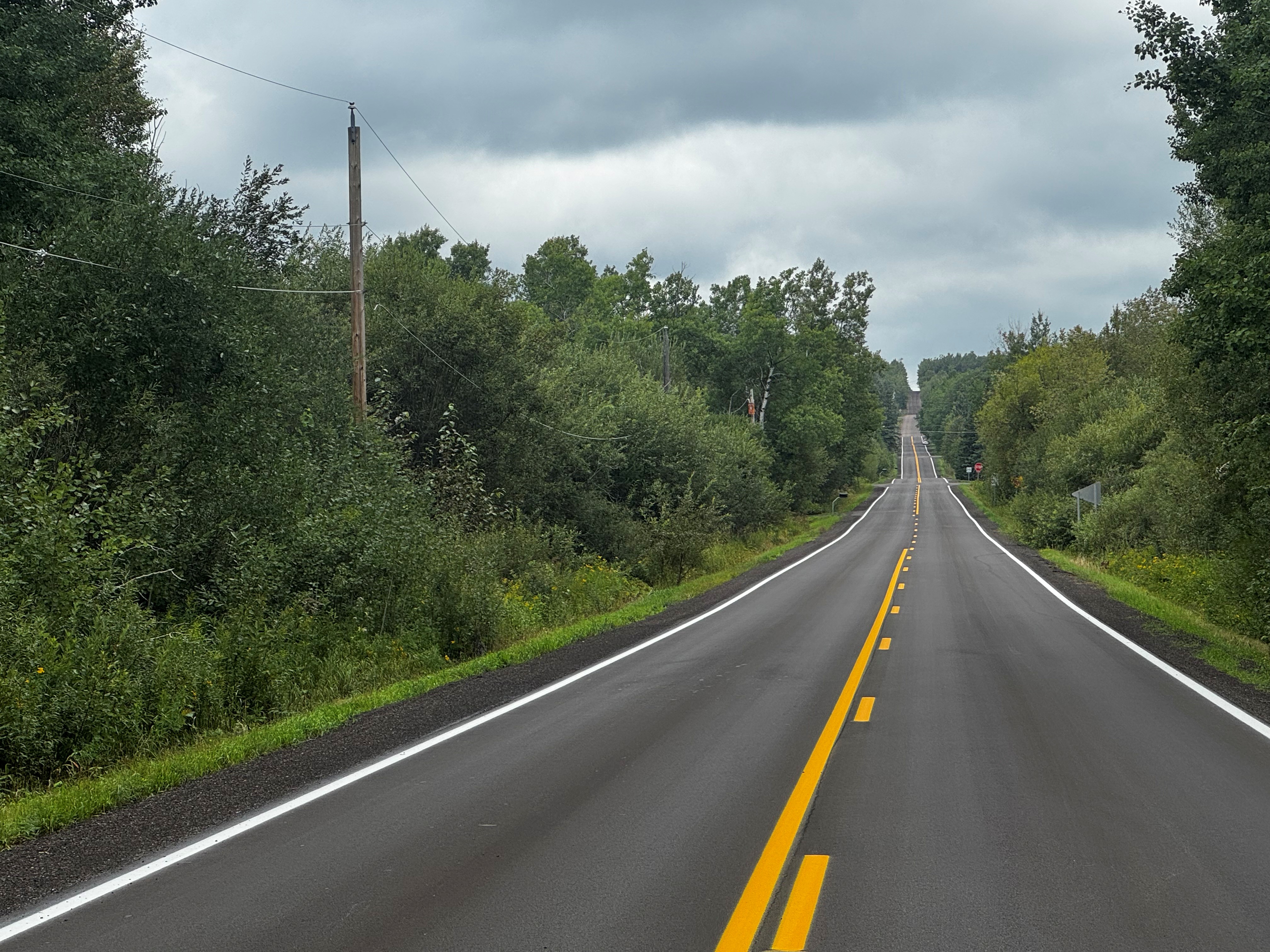 Freshly paved two-lane road winding through dense forest beneath an overcast sky.