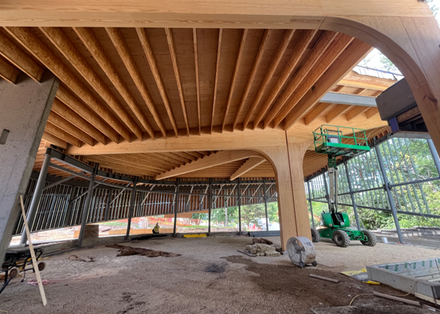 This image shows a wide open interior with central structural element resembling a tree trunk with structural support beams/arms branching out at the ceiling holding up the wood cladded ceiling.