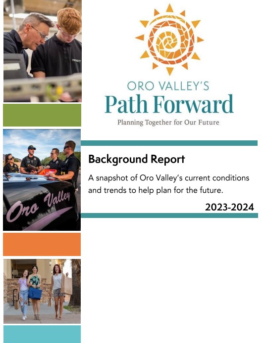 Background Report