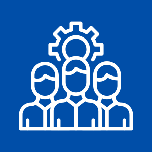 Team member, Project Team