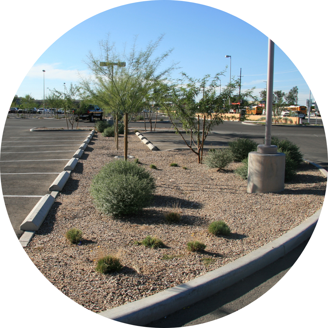 Parking lot with trees