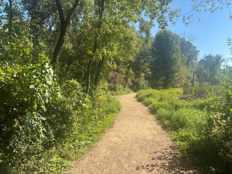 A trail curves through a section of the park between woodland and wetland