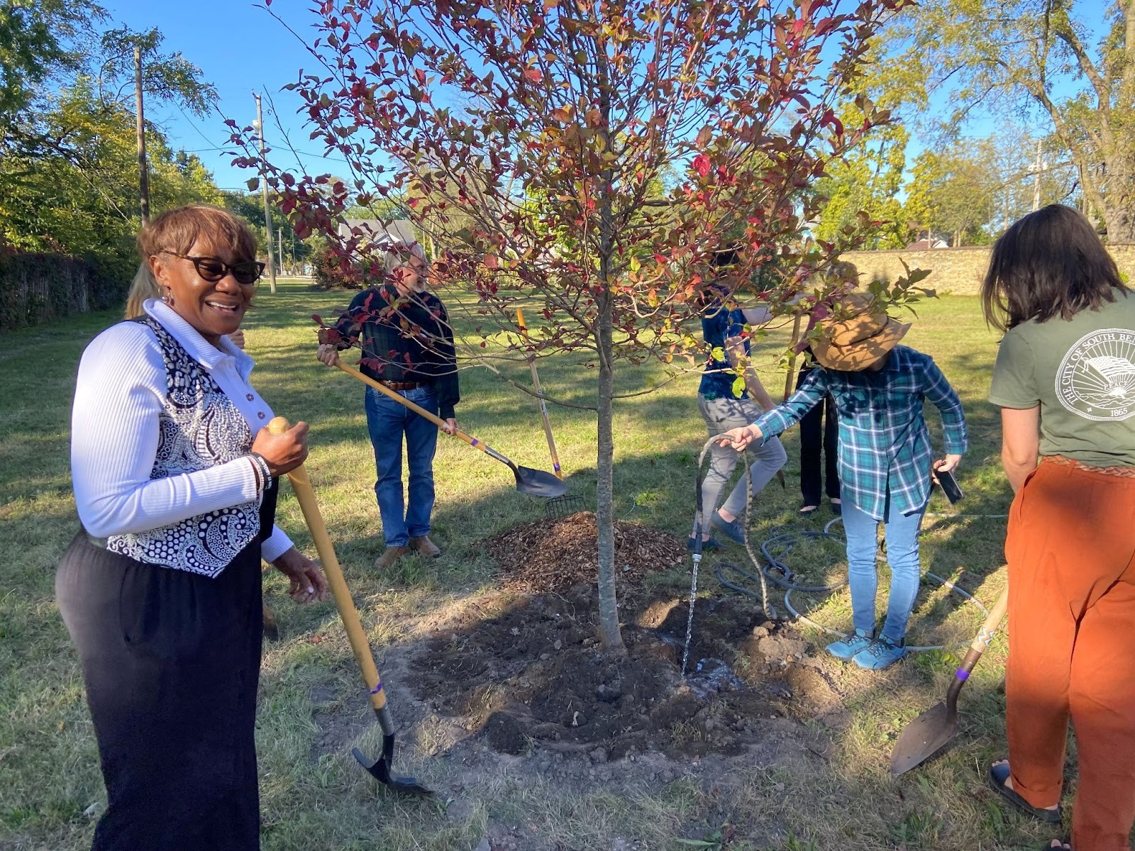 4 people planting a tree together. One person is watering.