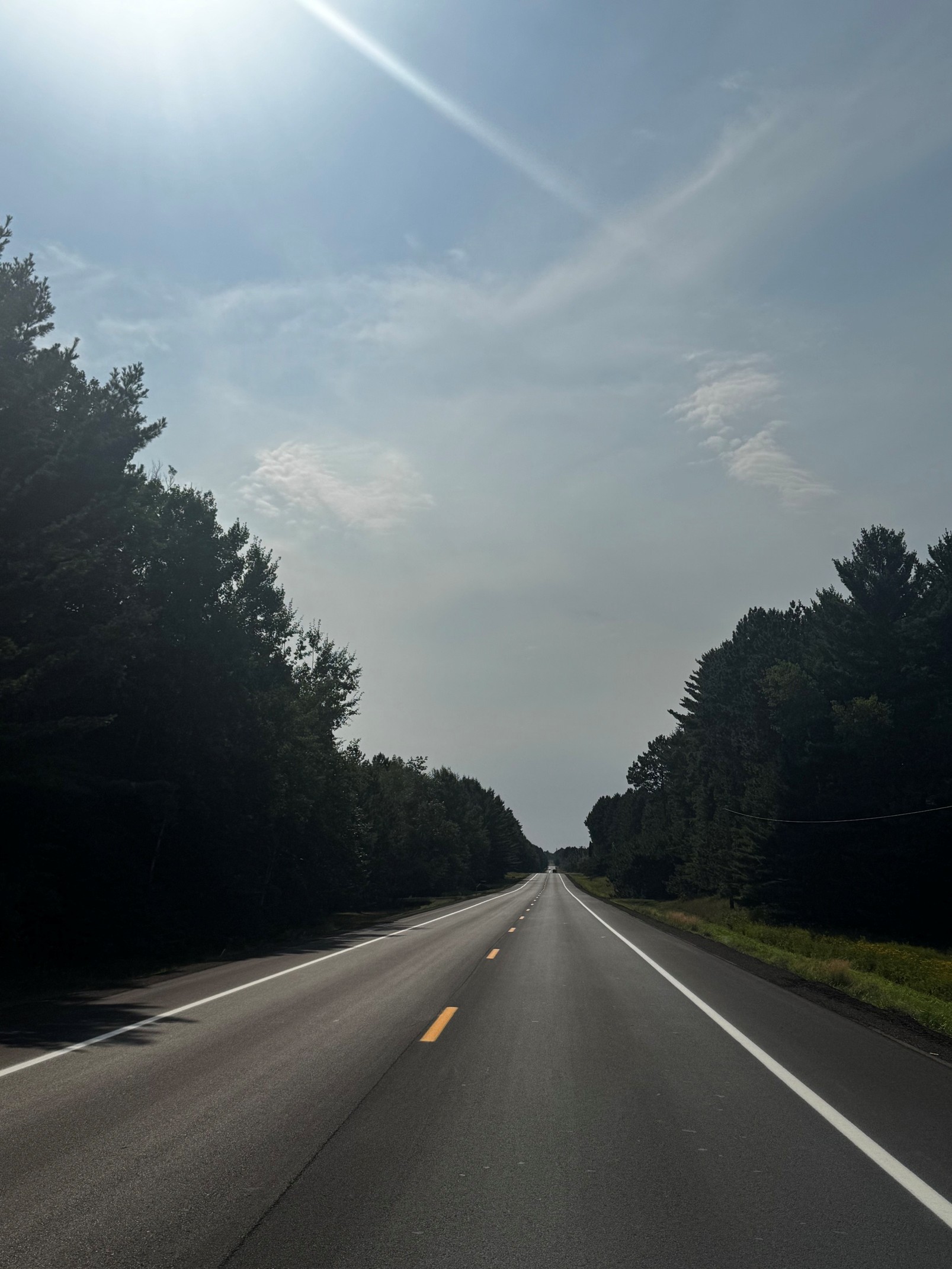 Finished Smooth Road between trees