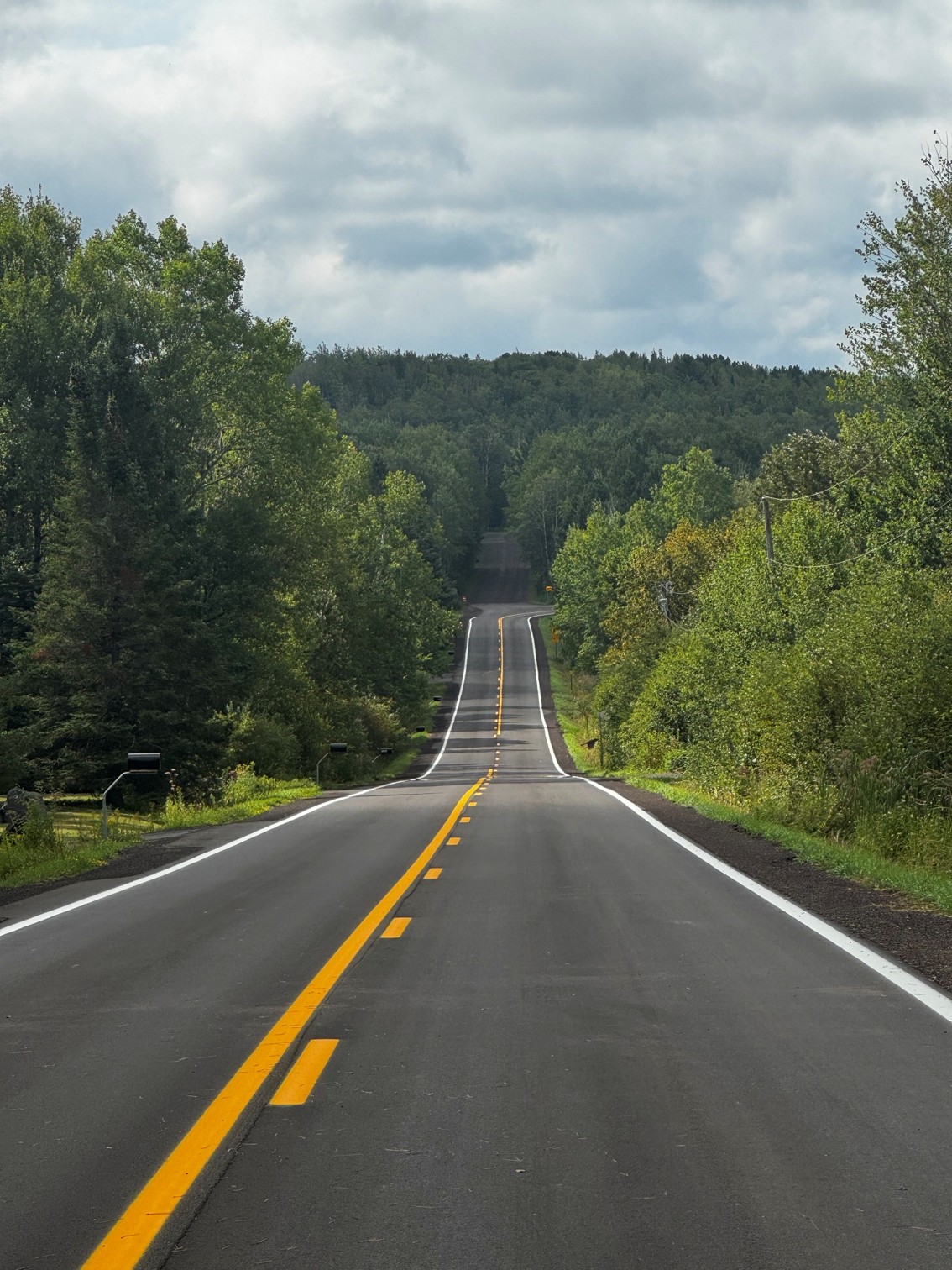 A freshly paved road with yellow center lines winding through dense green forest beneath a cloudy sky.