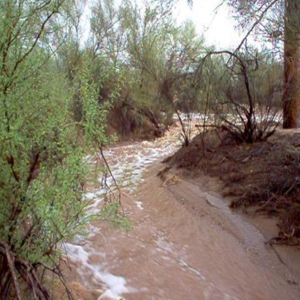 Water running in a wash