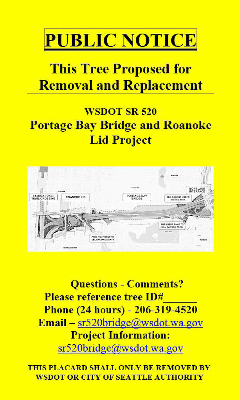 A yellow placard with a notice that the tree is proposed for removal and replacement.