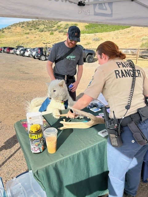 Man and dog talking with Ranger Grace at pop-up event in William F. Hayden Park