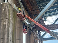 supporting image