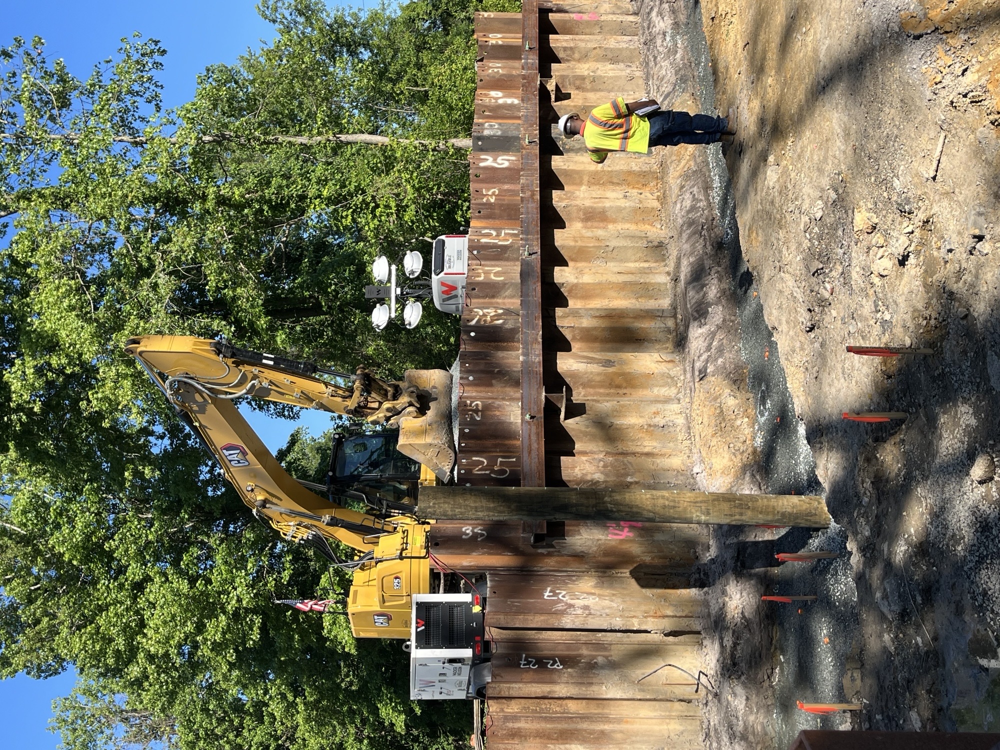 Timber pile installation