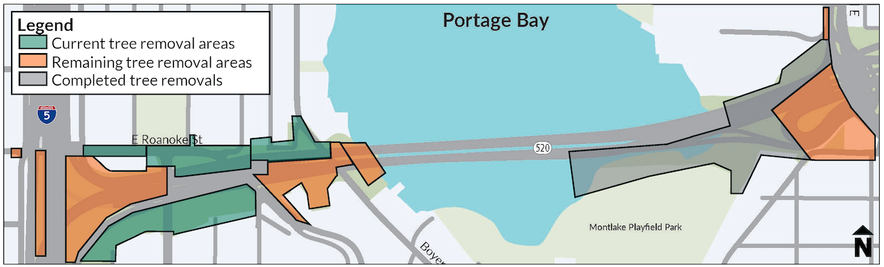 Map of Portage Bay and SR 520 tree removal areas. Green areas around Boyer Avenue East and East Roanoke Street indicate where trees are currently being removed. Orange areas around Montlake Boulevard East, I-5 and Boyer Avenue East indicate where trees will be removed in the future. Grey areas around Montlake Boulevard East indicate where trees have already been removed.