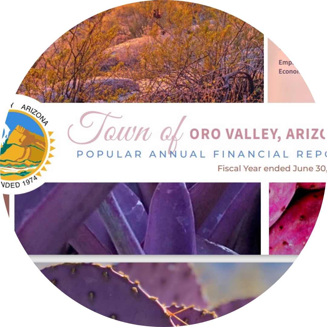cover of the popular report