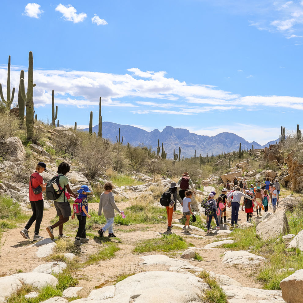 People hiking