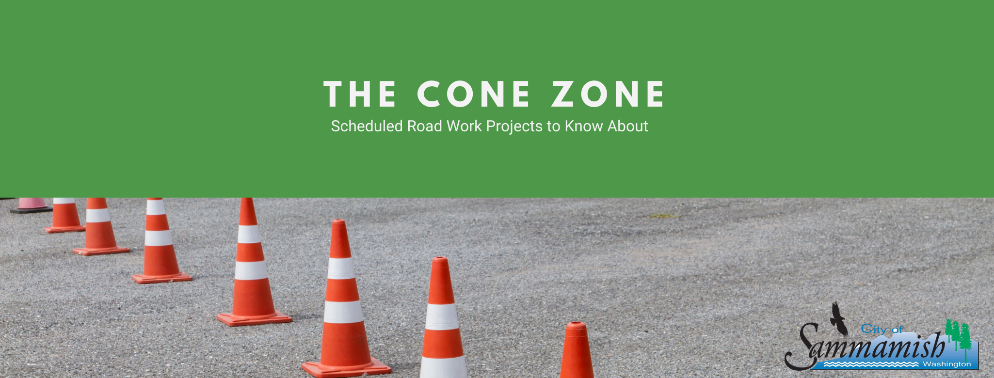 The Cone Zone Connect Sammamish