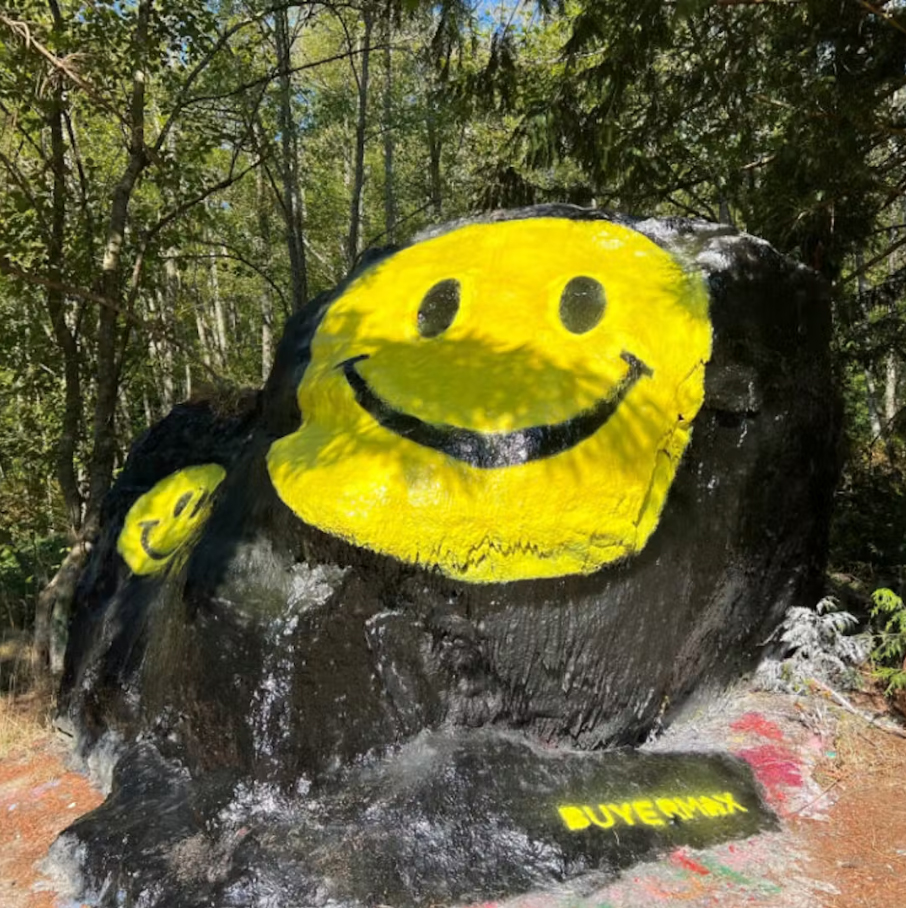 Bellingham Rock painted black with a large yellow smiling face and a smaller yellow smiling face in a forest.