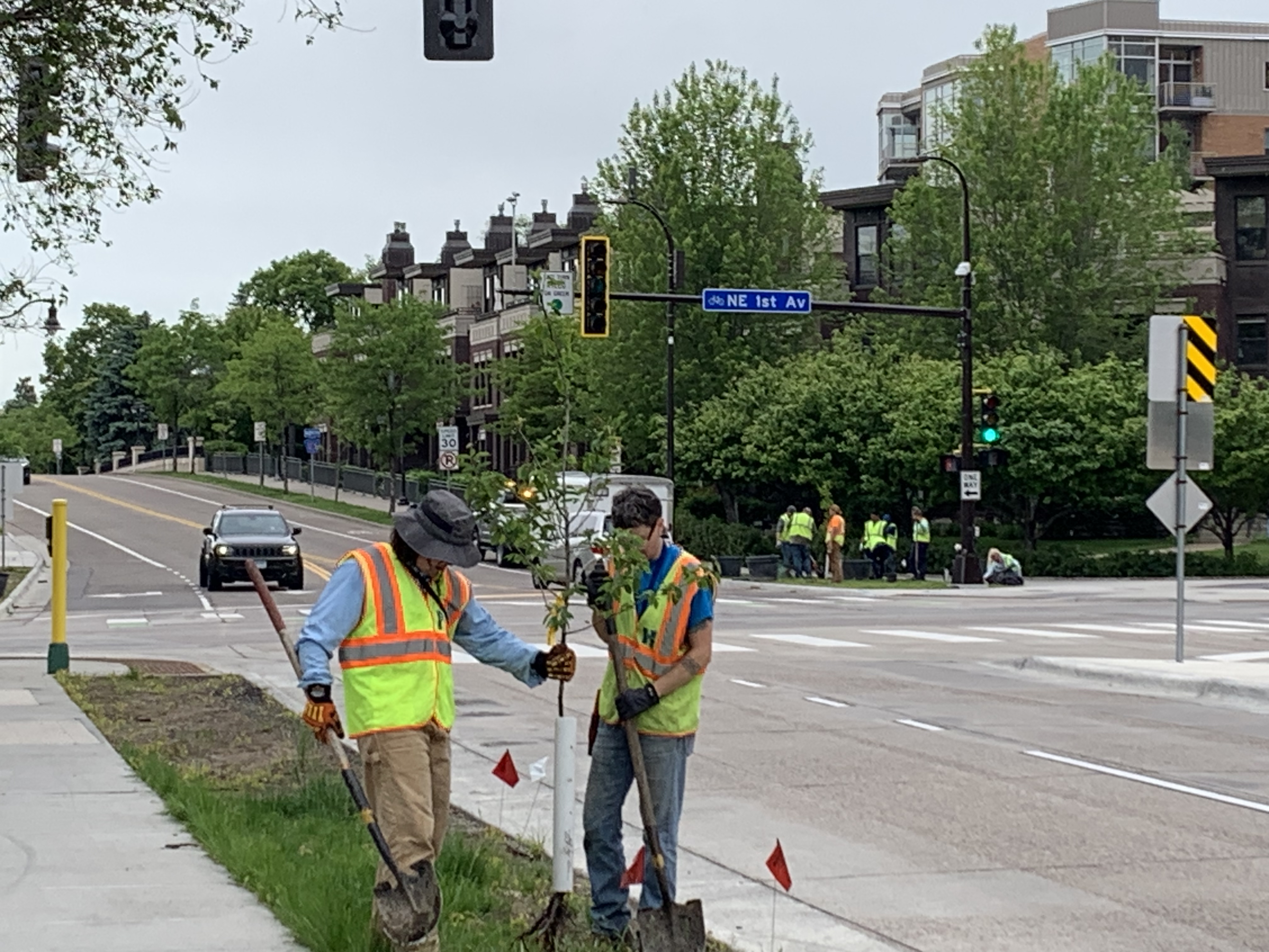 Two people working together to plant a tree along a road