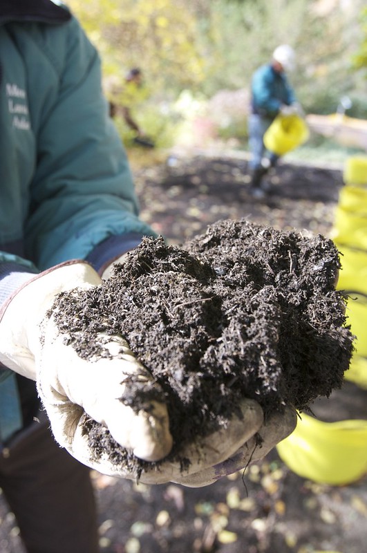 How to Use Your Compost | Frog Town Green: September 24 Workshop ...