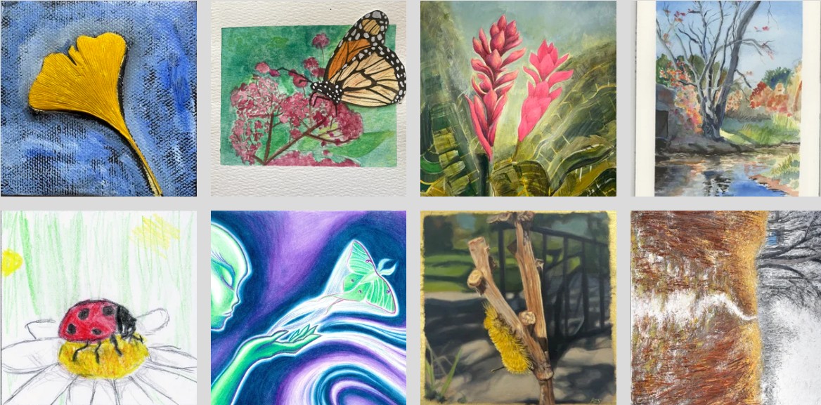 Various biodiversity-themed artwork submitted by local artists, including birds, flowers, landscapes, and abstract artwork.