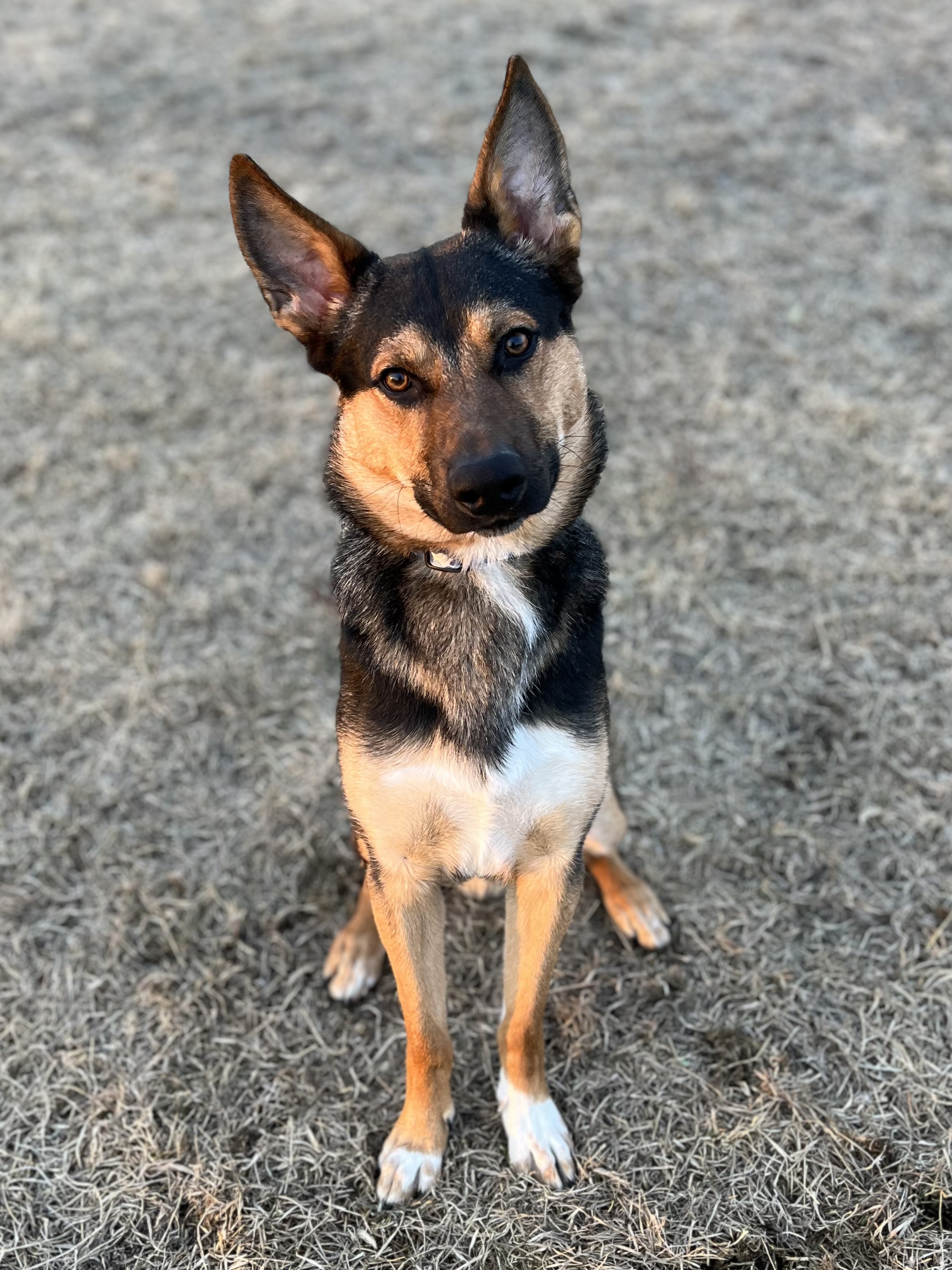 Ellensburg Insider Annual Report 2022 City of Ellensburg