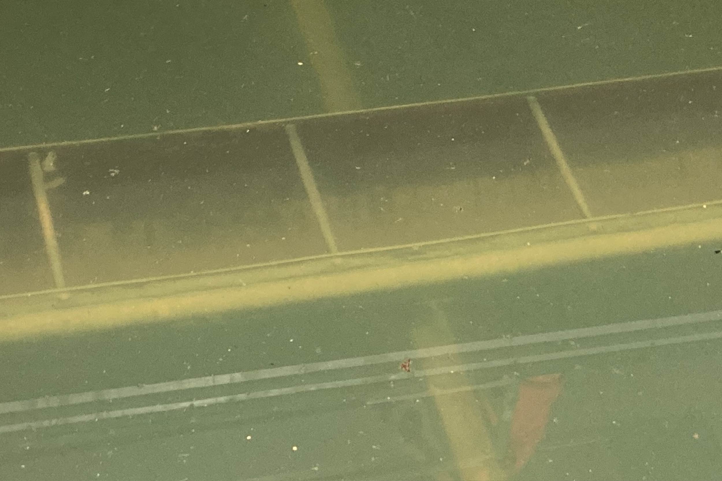 Water seeps through filter media in Filter 3