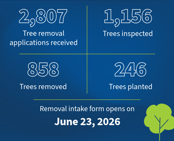 2,807 tree removal applications received, 1,156 trees inspected, 858 trees removed, 246 trees planted. Removal intake form opens on June 23, 2026