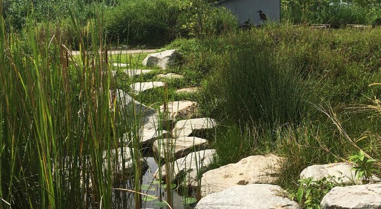 Concept 3 - Stepping Stones