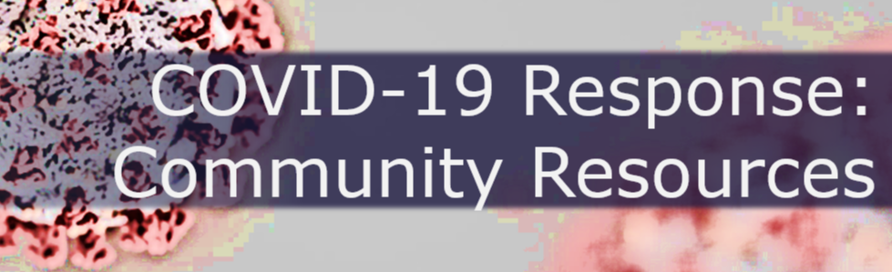 洋書 CommunityDisasterRecoveryandResiliency 洋書 CommunityDisasterRecoveryandResiliency 緑風出版 | 社会