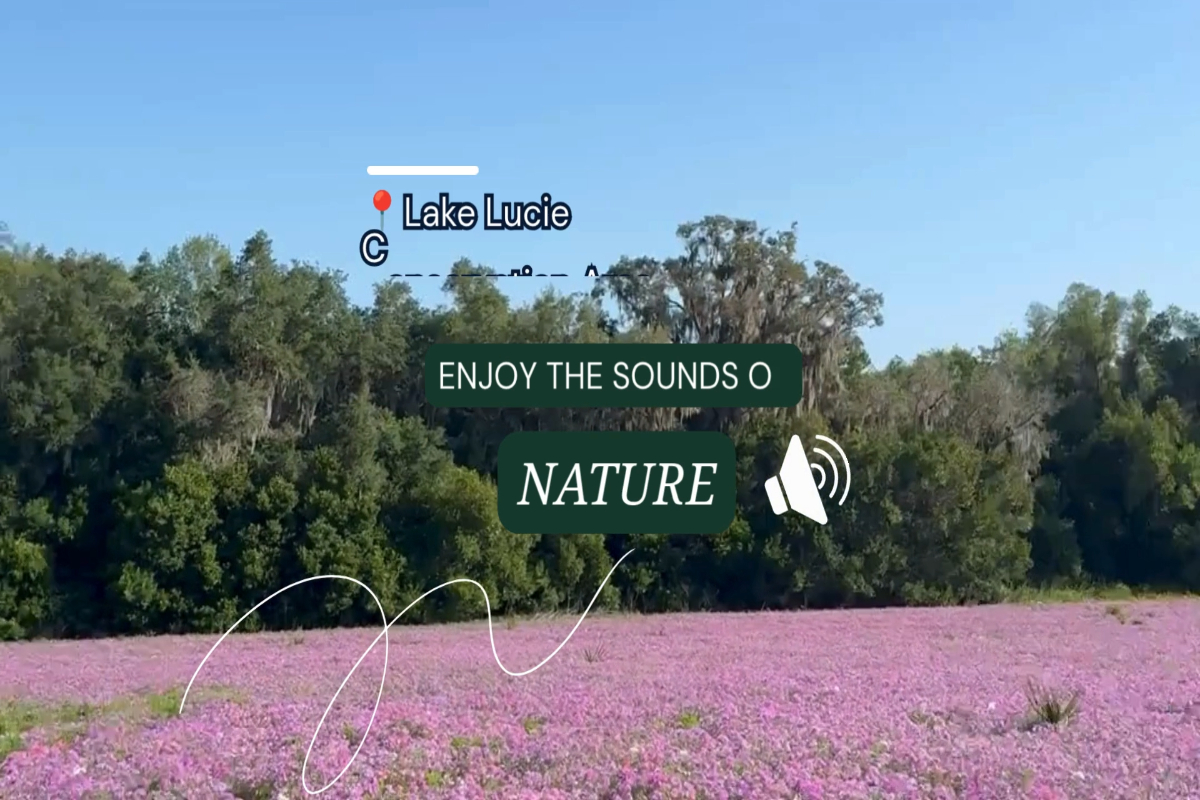 Sounds of Nature