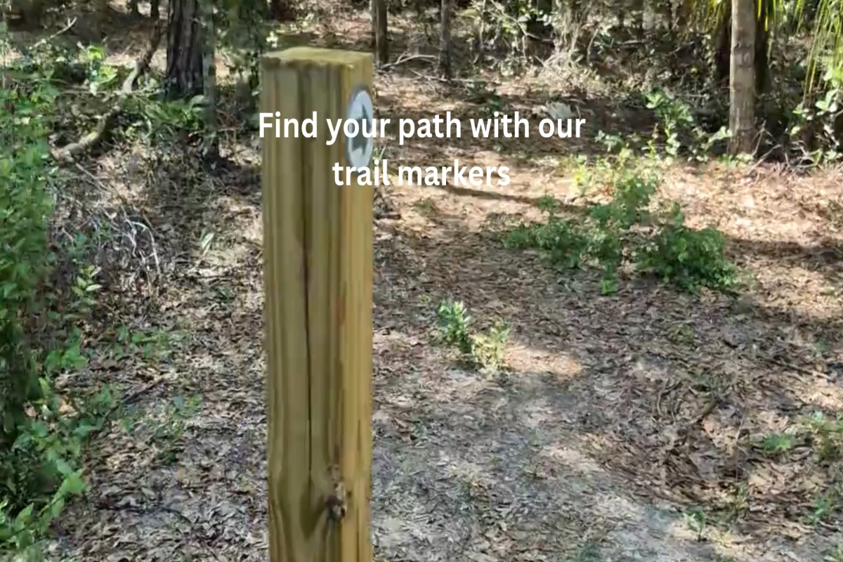 Sandhill Preserve