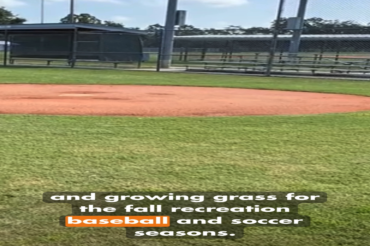 Hernando Happenings- June 2026