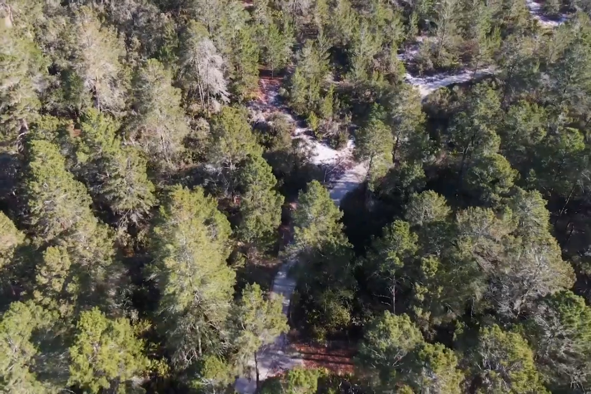 Dunedin Spotlight: Gladys E. Douglas Preserve
