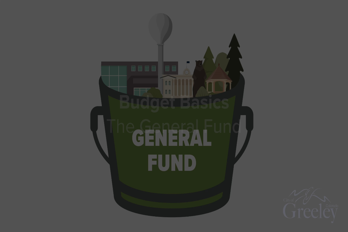 Budget Basics: The General Fund