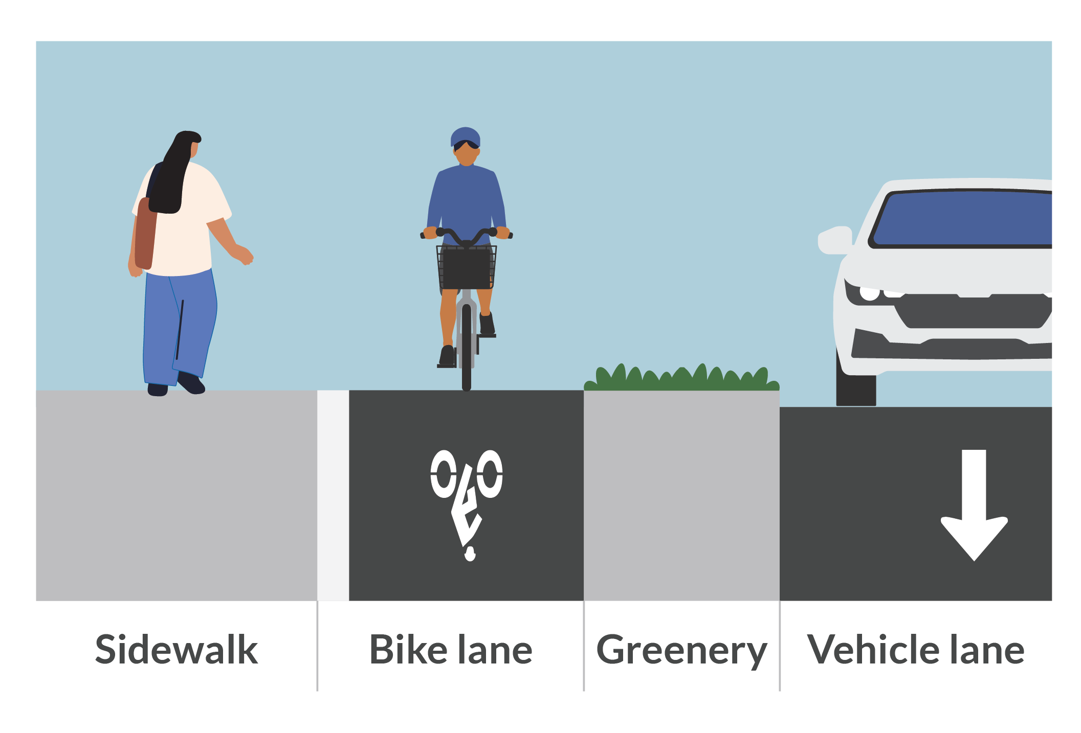 From left to right, the cross section includes a sidewalk, a one-way bike lane separated by a cane-detectable strip, a greenery strip, and a vehicle travel lane. A person walks on the sidewalk, a person rides a bike in the bike lane, and a car travels in the adjacent vehicle lane. Labels identify: sidewalk, bike lane, greenery and vehicle lane.