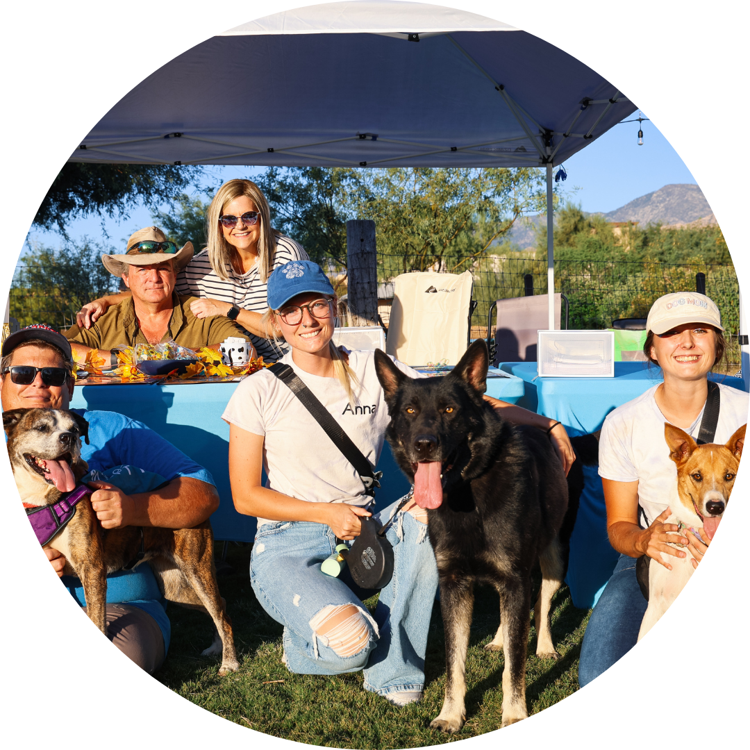 people and their dogs at an event