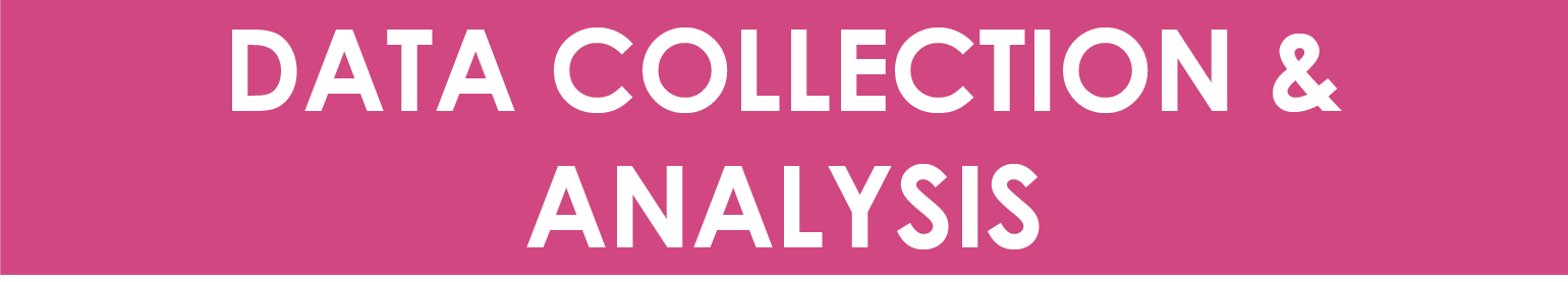 Data Collection and Analysis Icon