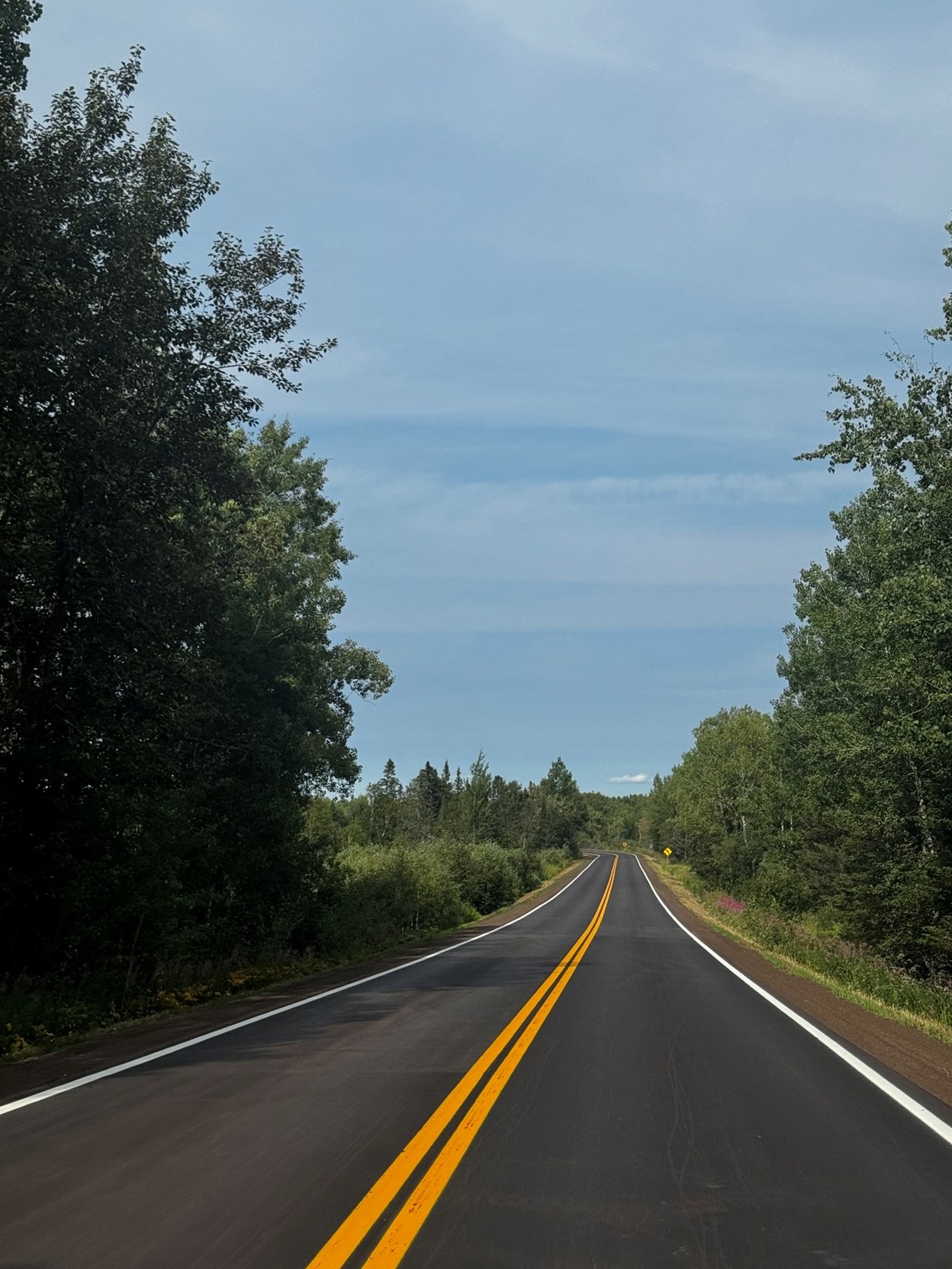 A winding road bordered by dense green trees and shrubs, under a soft blue sky with wispy clouds.