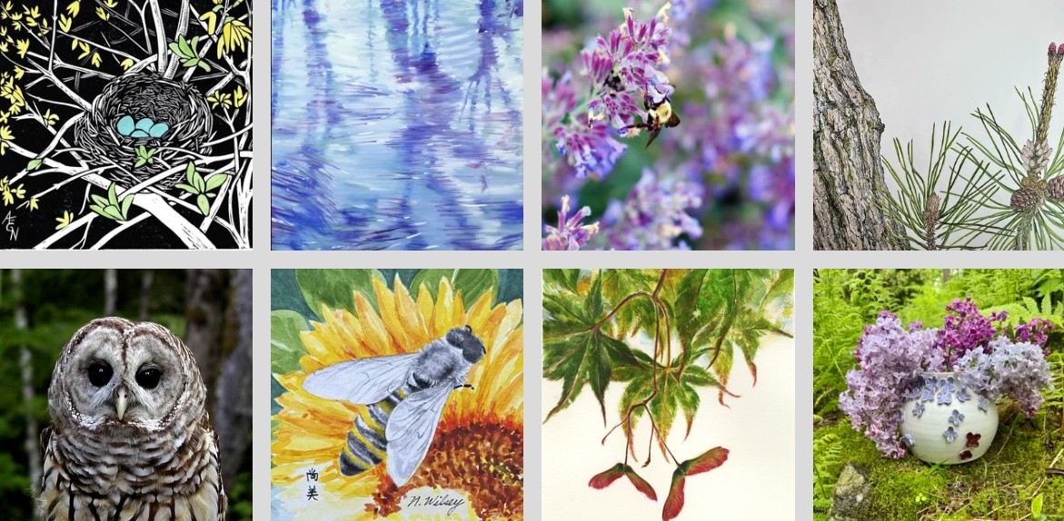 Various biodiversity-themed artwork submitted by local artists, including birds, flowers, landscapes, and abstract artwork.
