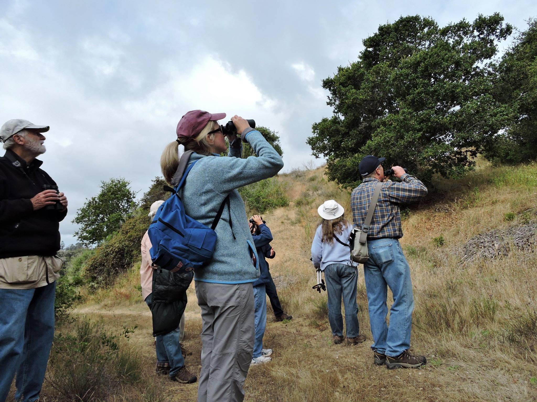 Soft-Surface Nature Exploration Trails