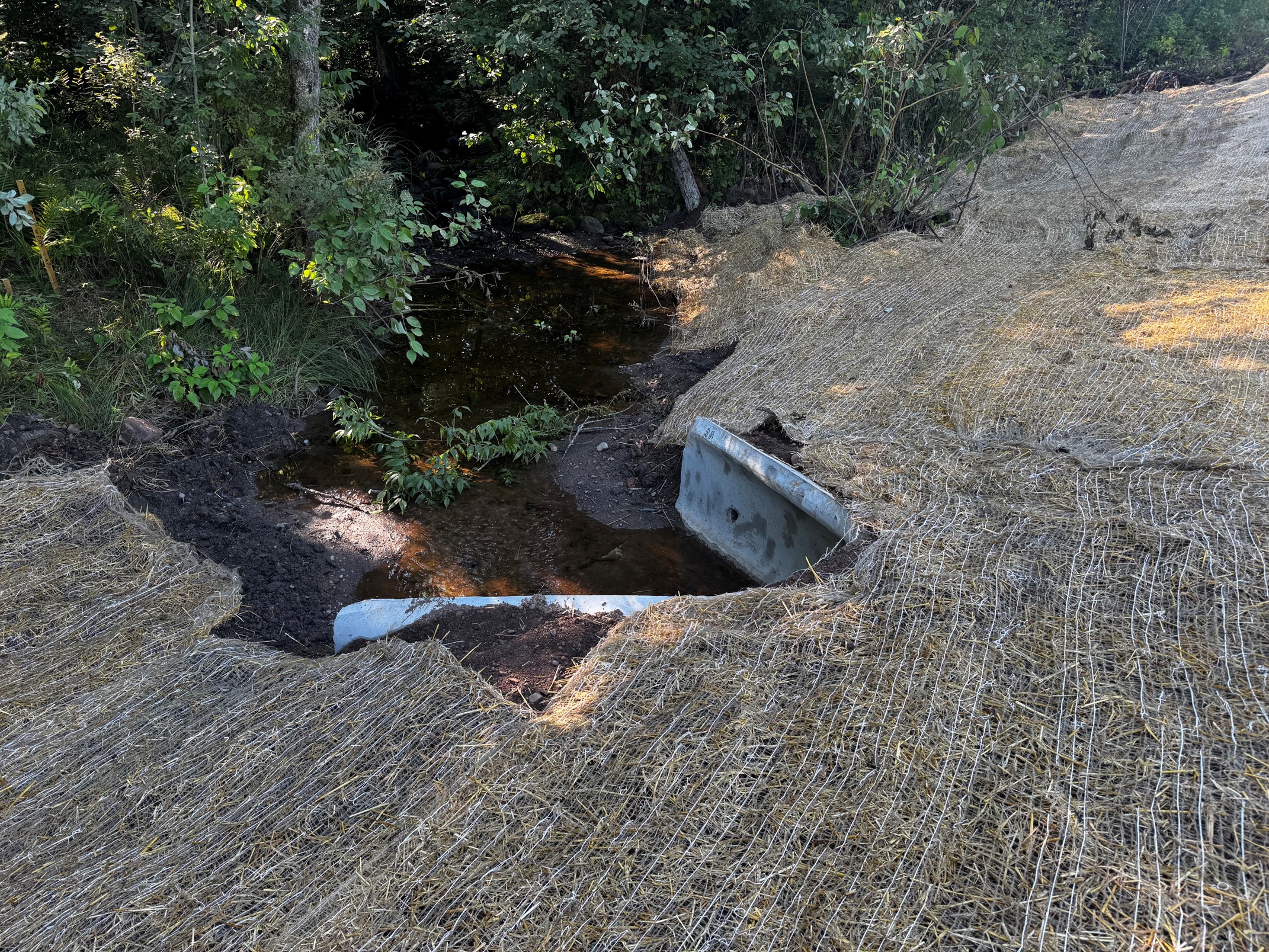 A narrow dark stream flows through a wooded area, bordered by loose straw matting and a visible gray culvert on the right.