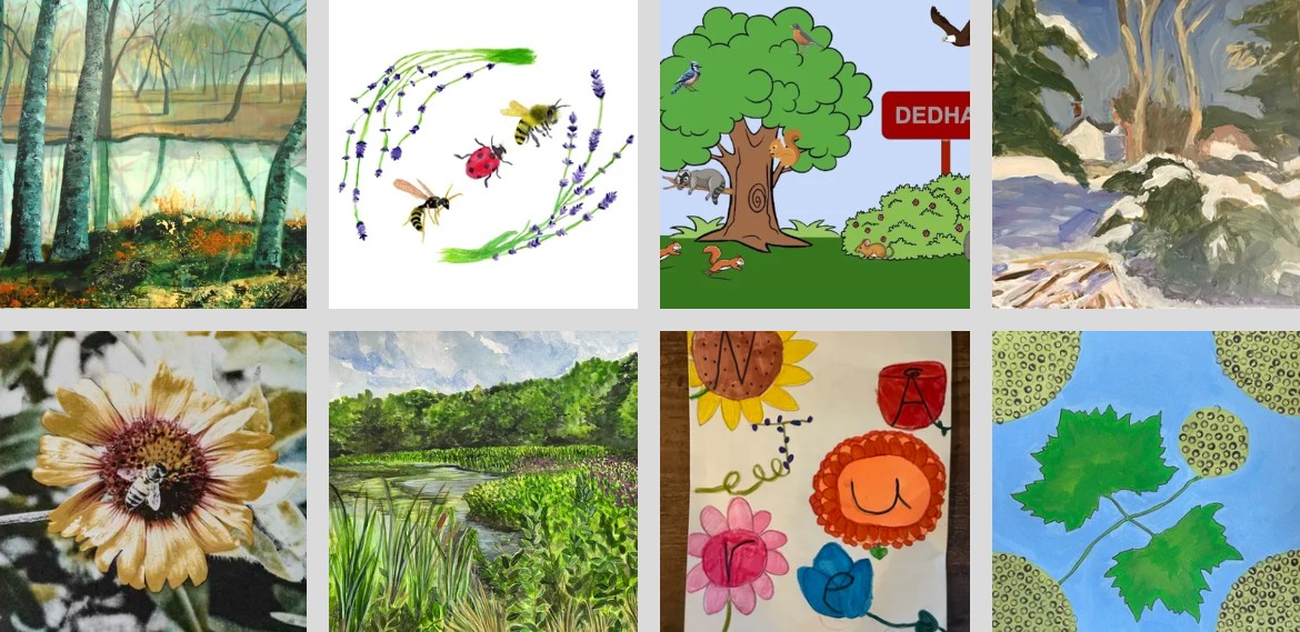 Various biodiversity-themed artwork submitted by local artists, including birds, flowers, landscapes, and abstract artwork.