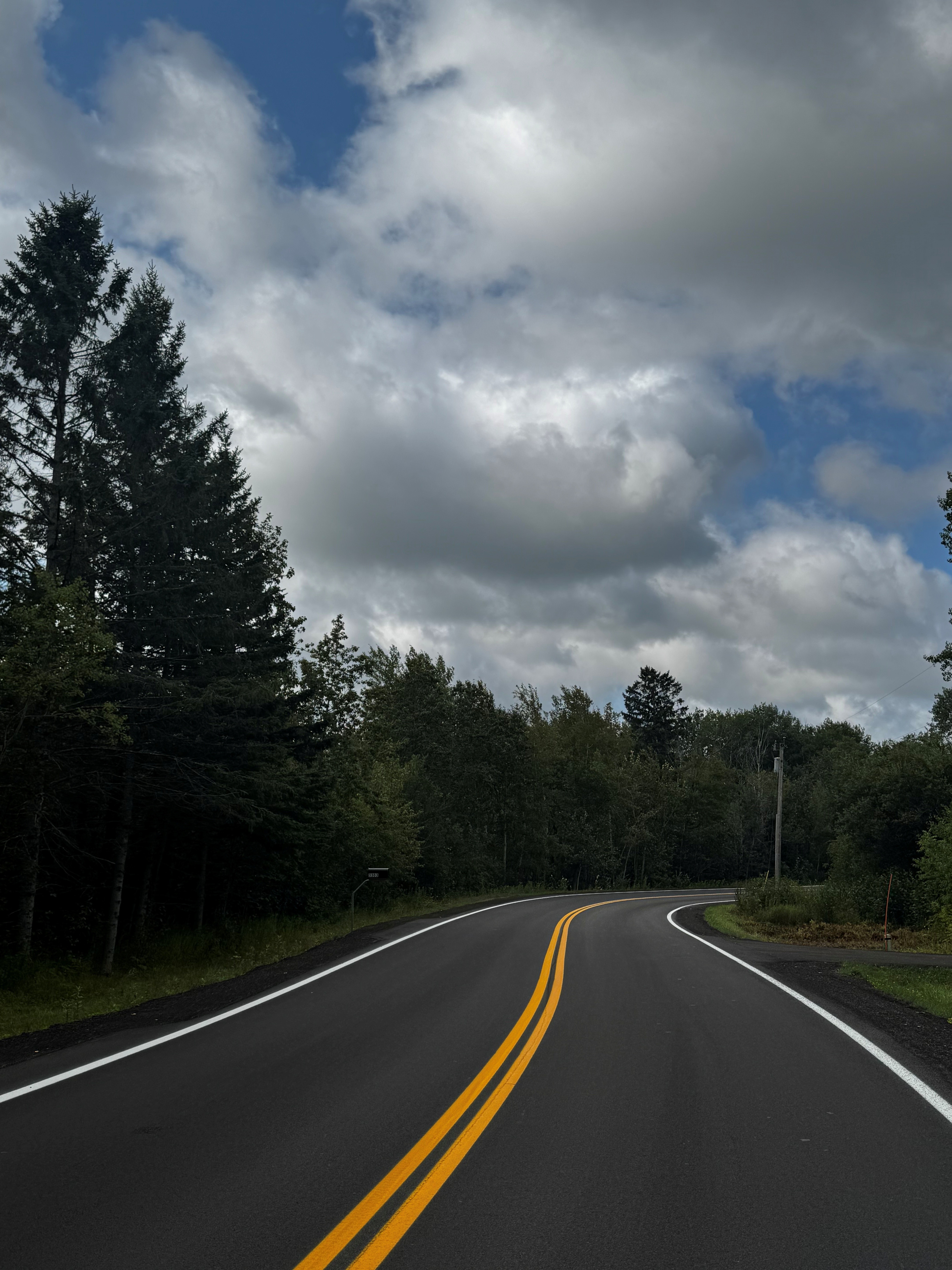 A freshly paved forest road curves right beneath heavy gray clouds, with double yellow center lines and white edge lines.