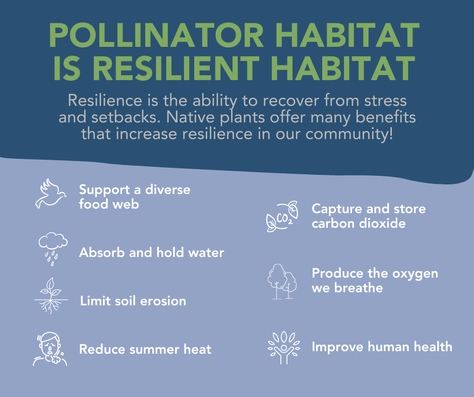 Graphic listing how pollinator habitat adds resilience in the landscape as listed in the main text
